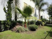 /album/fotogaleria-jardineria-y-paisajismo/images-13-jpg/
